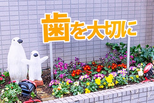 好評の花壇